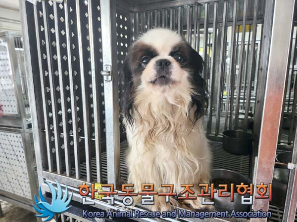 종료(기증) 제페니…